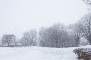 ２０２５年、年内の営業を無事終えることが出来ました。