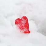 最悪の憑依状態の典型的パターンと言えるでしょう